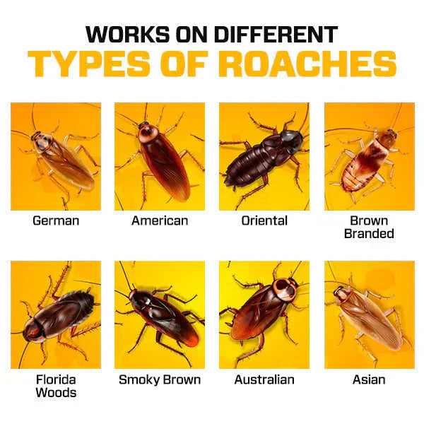 Roach Shield Natural Gel – Safe & Powerful Cockroach Repellant for Kitchens, Bathrooms & Cabinets