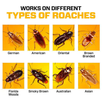 Roach Shield Natural Gel – Safe & Powerful Cockroach Repellant for Kitchens, Bathrooms & Cabinets